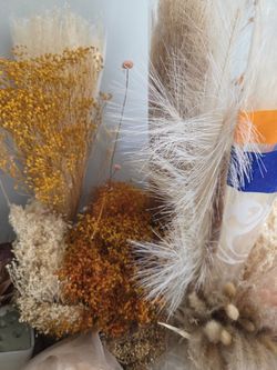 Dried Flowers