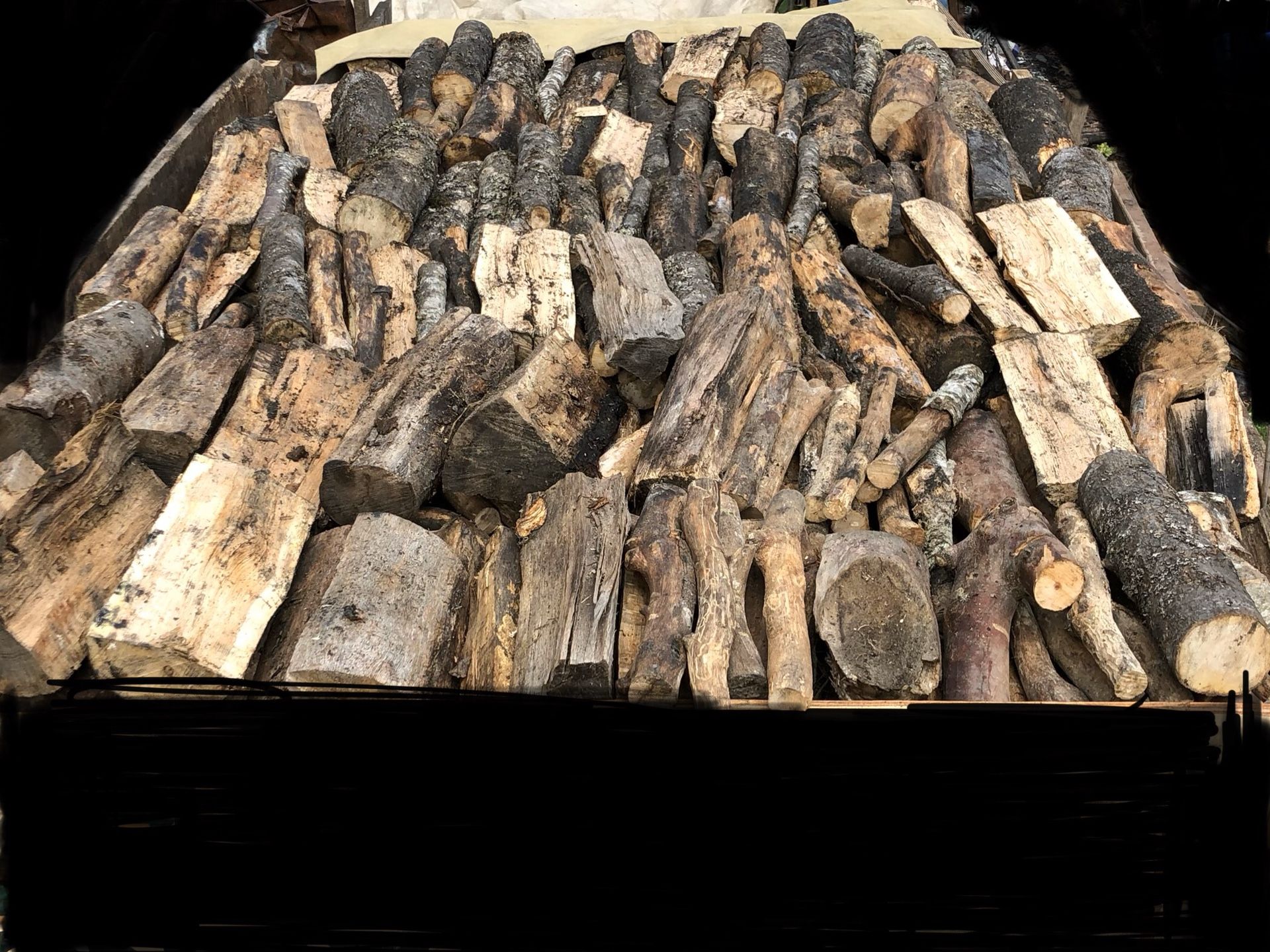 Seasoned dry firewood