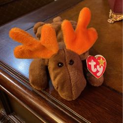 Chocolate The moose beanie Baby 