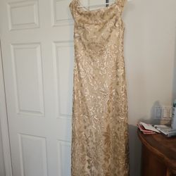 Elegant Formal Beige/ Gold Sequence Dress