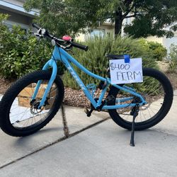 Trek Roscoe Children Mountain Bike