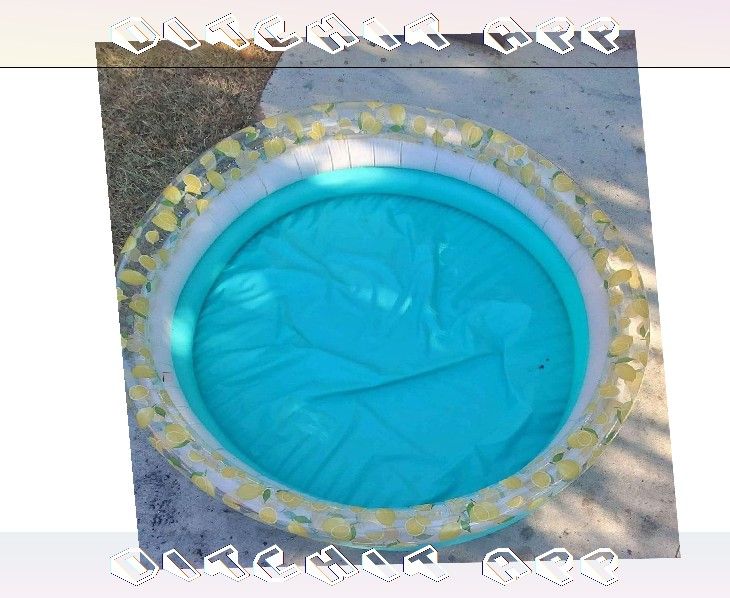 Kids' Pool Ideal for Water Fun Throughout Summer account himself