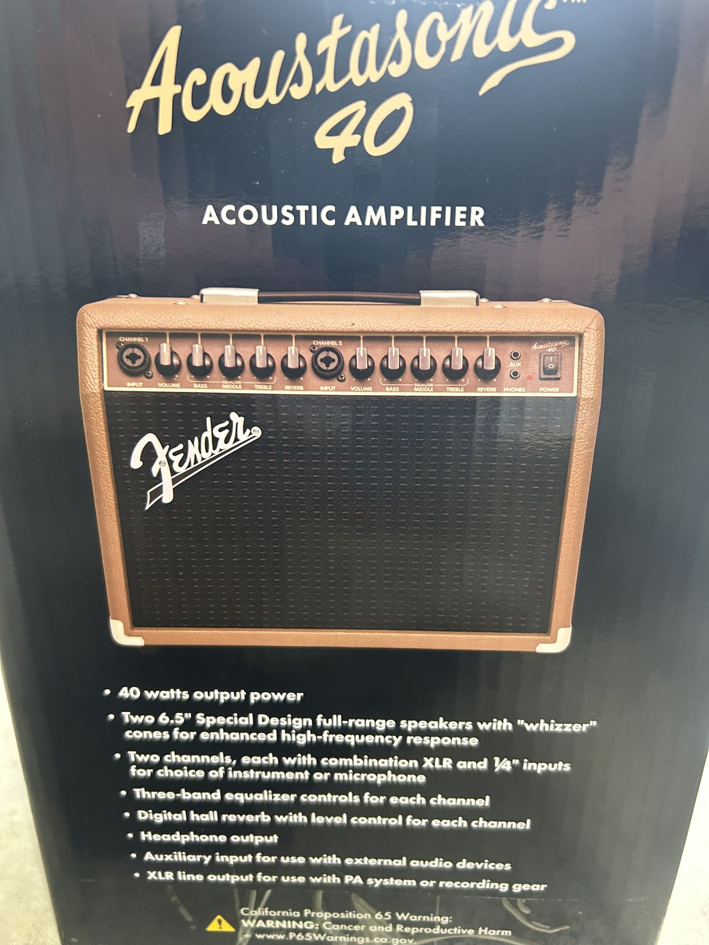 Fender Acoustic Guitar Amp