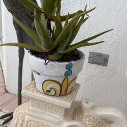 CERAMIC PLANTER GARDEN OR INSIDE POT For Aloe Plant - Flowers. Hand Painted Ceramic Indoor Outdoor Pottery W Drain Hole. Signed By Artist Monique.  