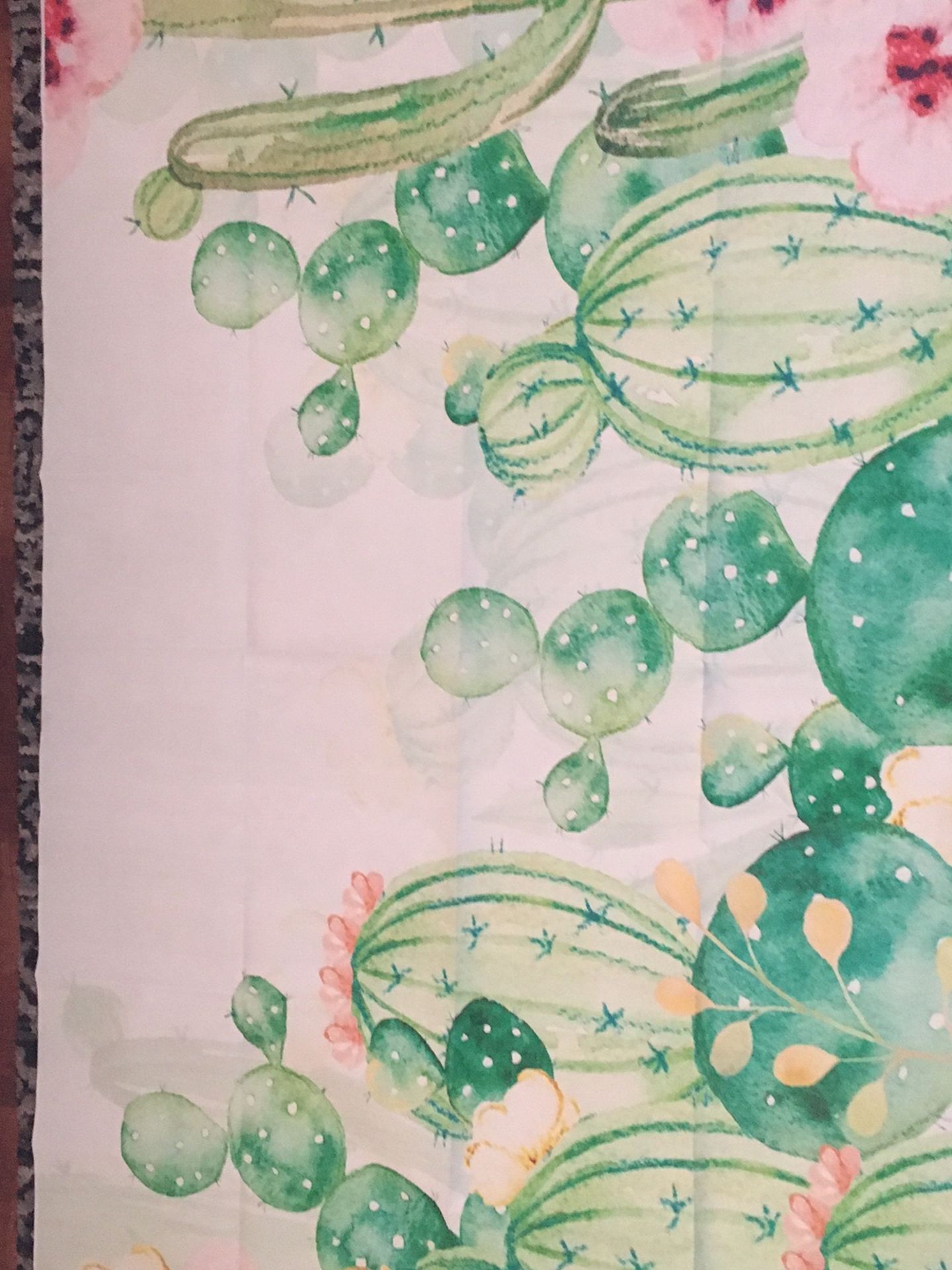 Cactus Party Decorations