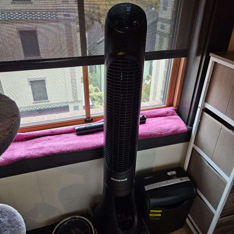 Honeywell Oscillating Fan 