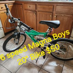 20" Boys 6 Speed Bike $50