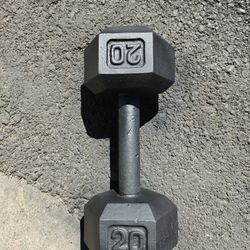 Single Dumbell 20 Lbs