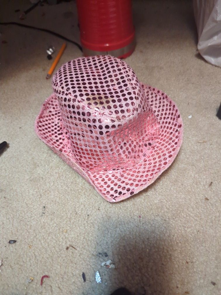 Weird Sparkly Pink Fedora