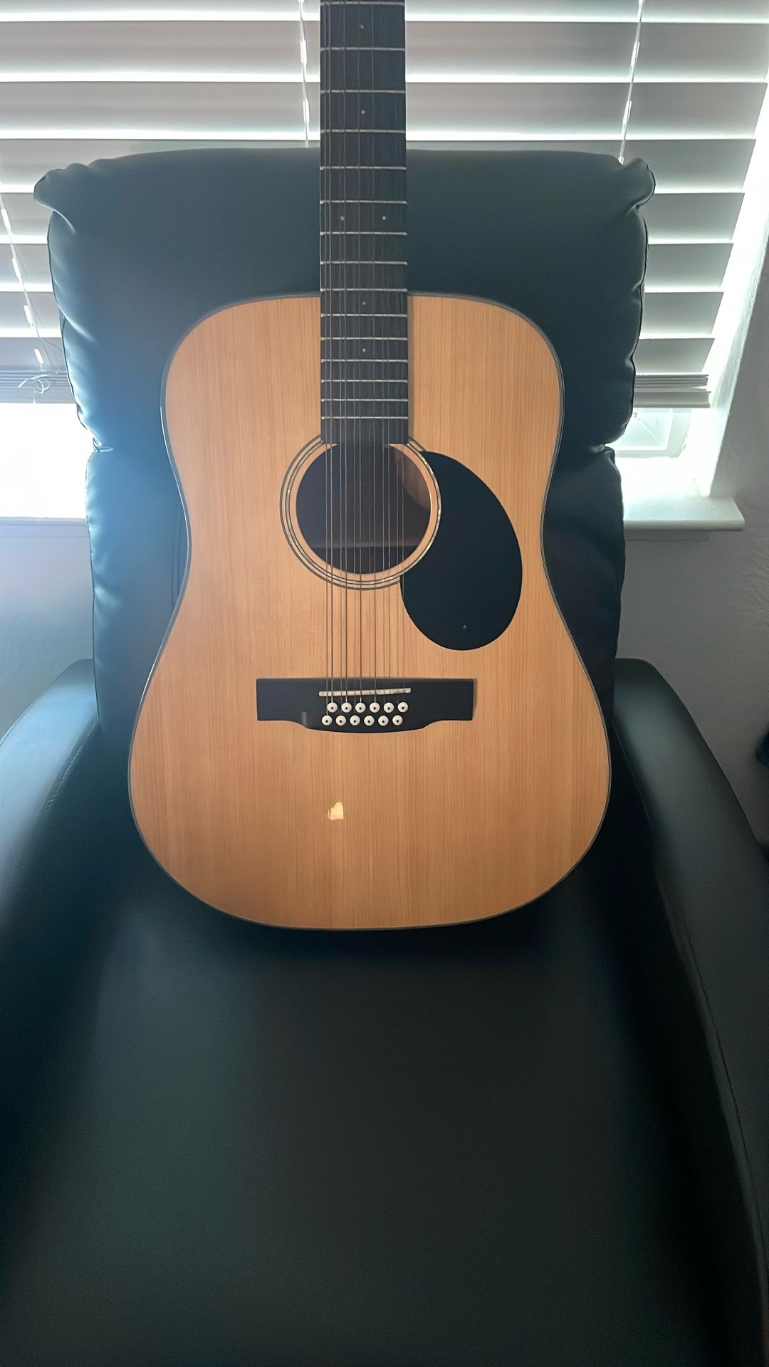 Jasmine 12 String Guitar