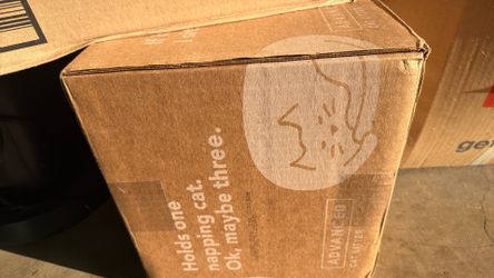 Cat Litter