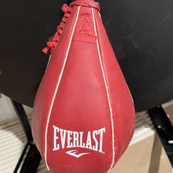 Everlast Speed Bag