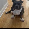 Aiden B