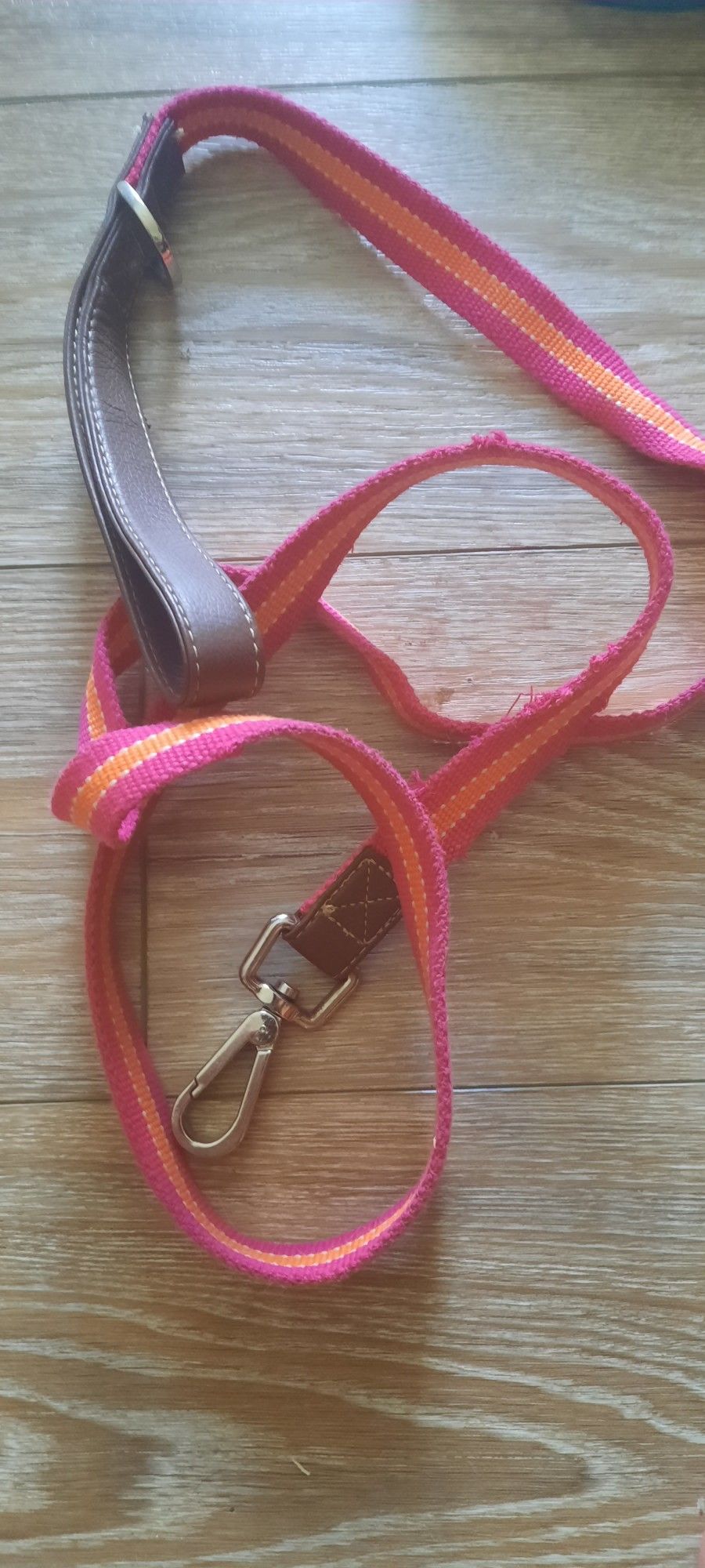 Medium Dog Harness & Leash