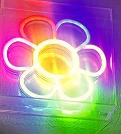 Neon Flower wall art