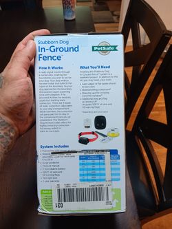 Inground Dog Fence