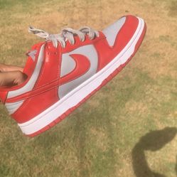 Nike Dunks Size 10