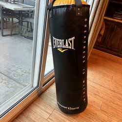 Everlast Punching Bag.  70 Pound Power Core.  Brand New