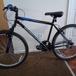 Roadmaster Bike