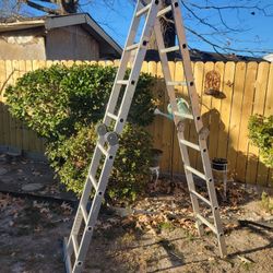 Warner Heavy Duty Industrial Ladder