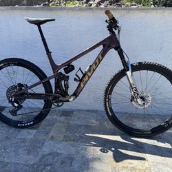 2025 Pivot Trailcat Custom Build, Size XL 