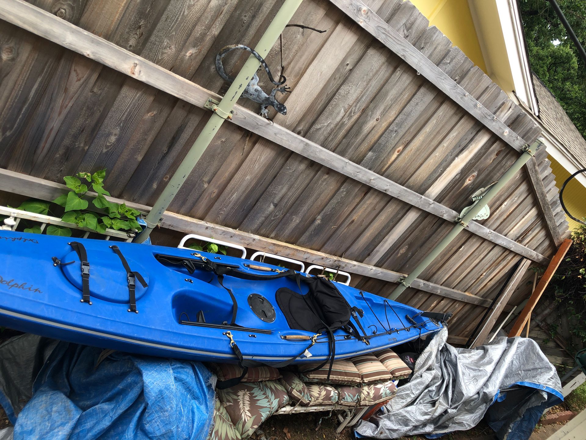 Necky Dolphin kayak for Sale in Arlington, TX OfferUp