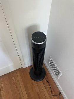 Fan
