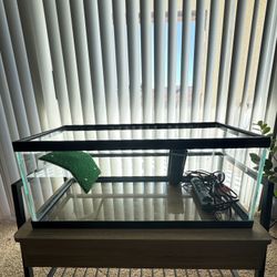 Turtle Pet Aquarium Tank And Accessories 