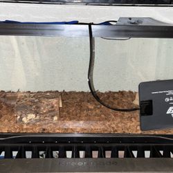 20 Gallon Tank W/ Accessories