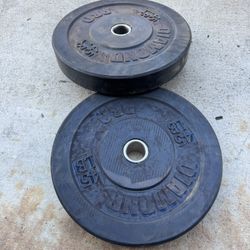 45lb Weights 