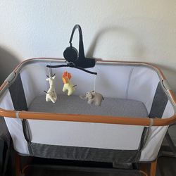 Moisés For Baby 👶🏻