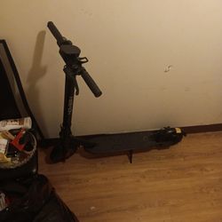 Electric Scooter 