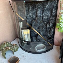 Reptile terrarium 🐍 🦎 🐸
