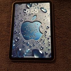 iPad Mini 6 256GB