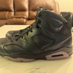 Jordan 6 all star chameleon size 12