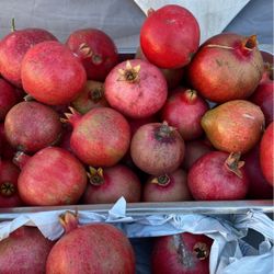 Fruit