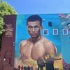 Joe Flores