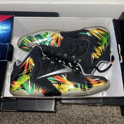 Lebron 11 Everglade 