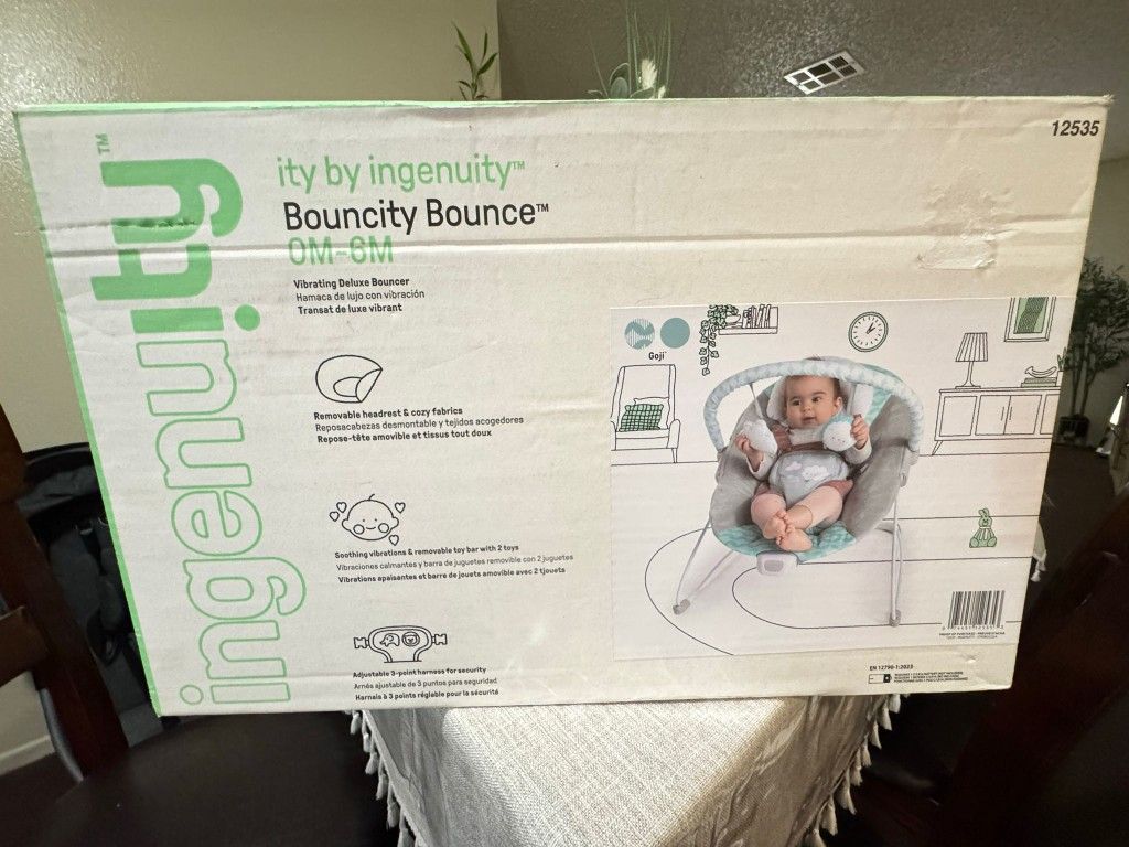 Bouncy Chair