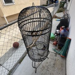 Antique Birdcage