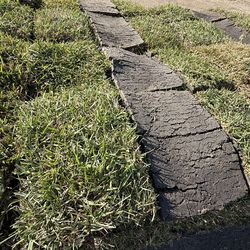 St Augustine grass available with delivery and installation