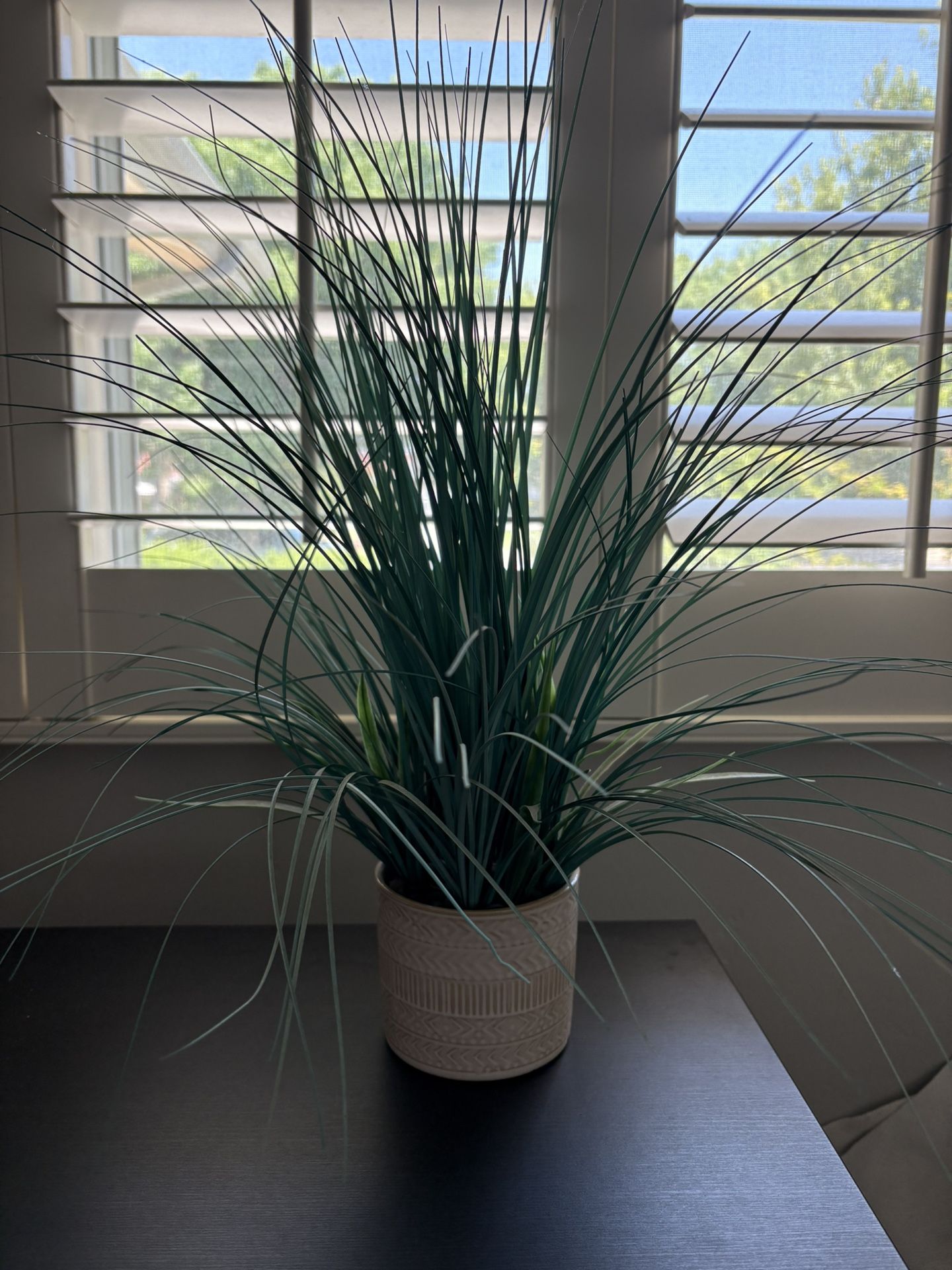 Decorative Potted Plant