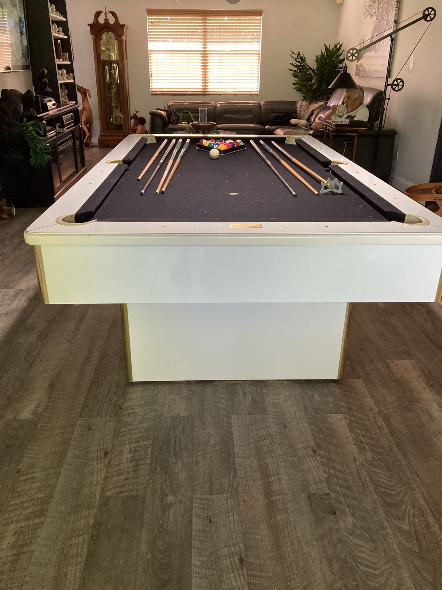 Pool Table Fun For All