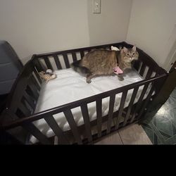 Mini Crib For Sale