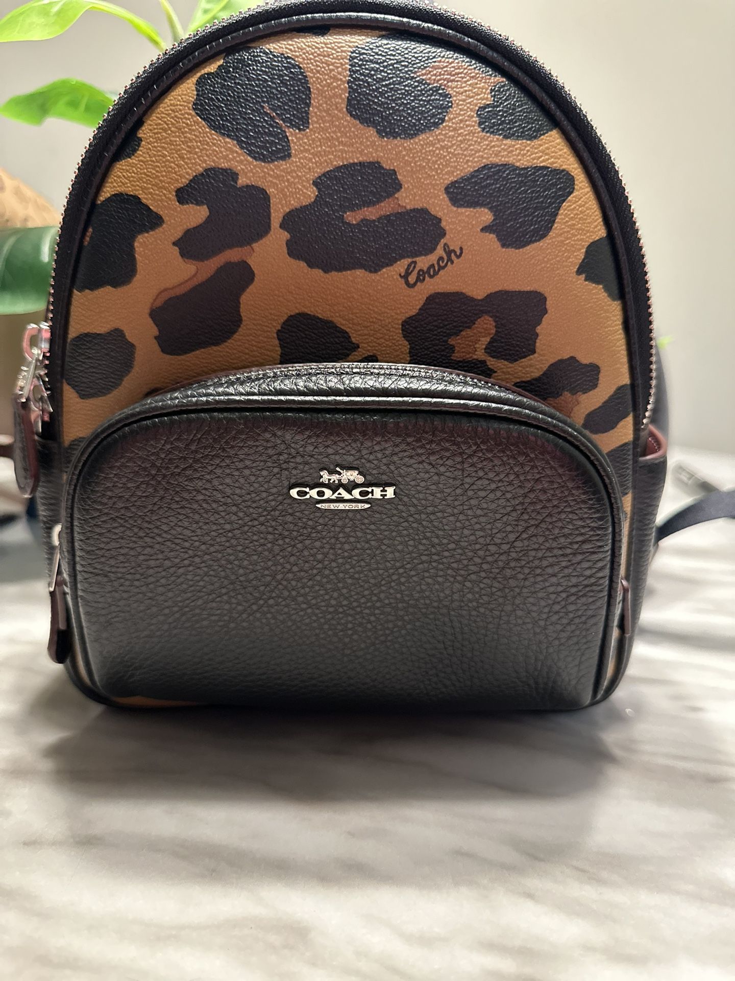 COACH Carry Bag