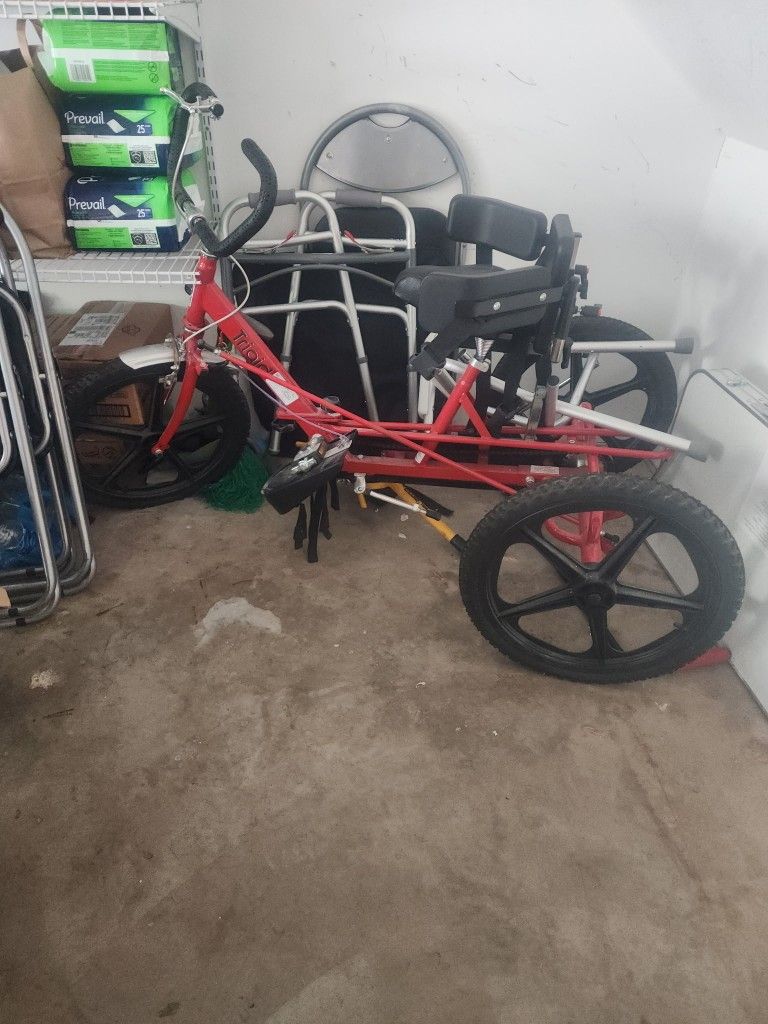 Triad Special Needs Triclye Red