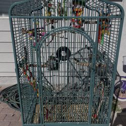 Bird Cage 