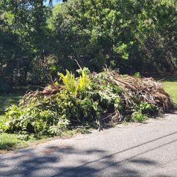 Hurricane Cleanup
