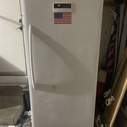 Stand Up Freezer 