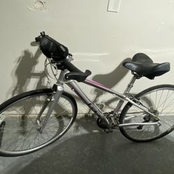 Women’s 20” Tachyon Silver Road Bike 